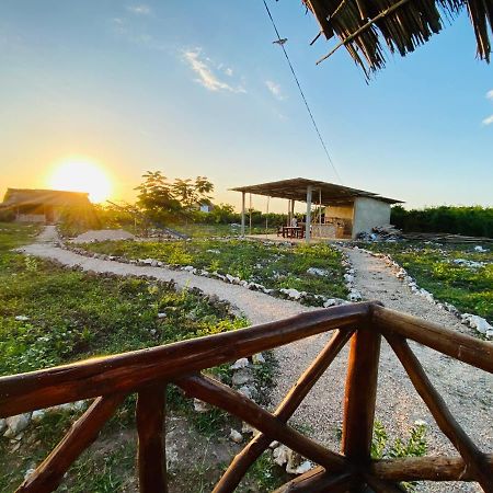 Habibis Bottle House Bed & Breakfast Nungwi Ngoại thất bức ảnh