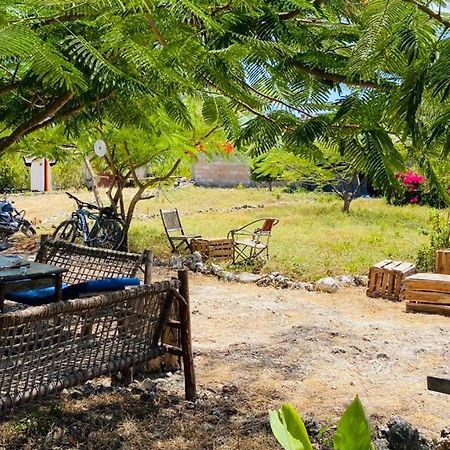 Habibis Bottle House Bed & Breakfast Nungwi Ngoại thất bức ảnh
