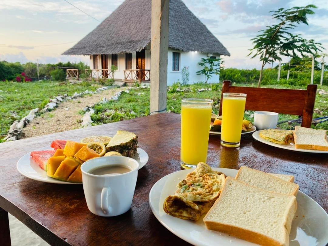 Habibis Bottle House Bed & Breakfast Nungwi Ngoại thất bức ảnh