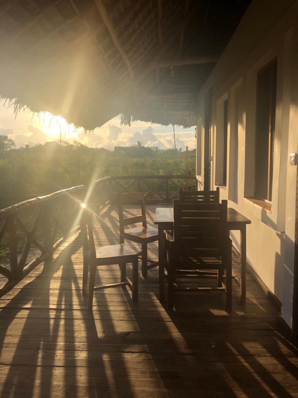 Habibis Bottle House Bed & Breakfast Nungwi Ngoại thất bức ảnh